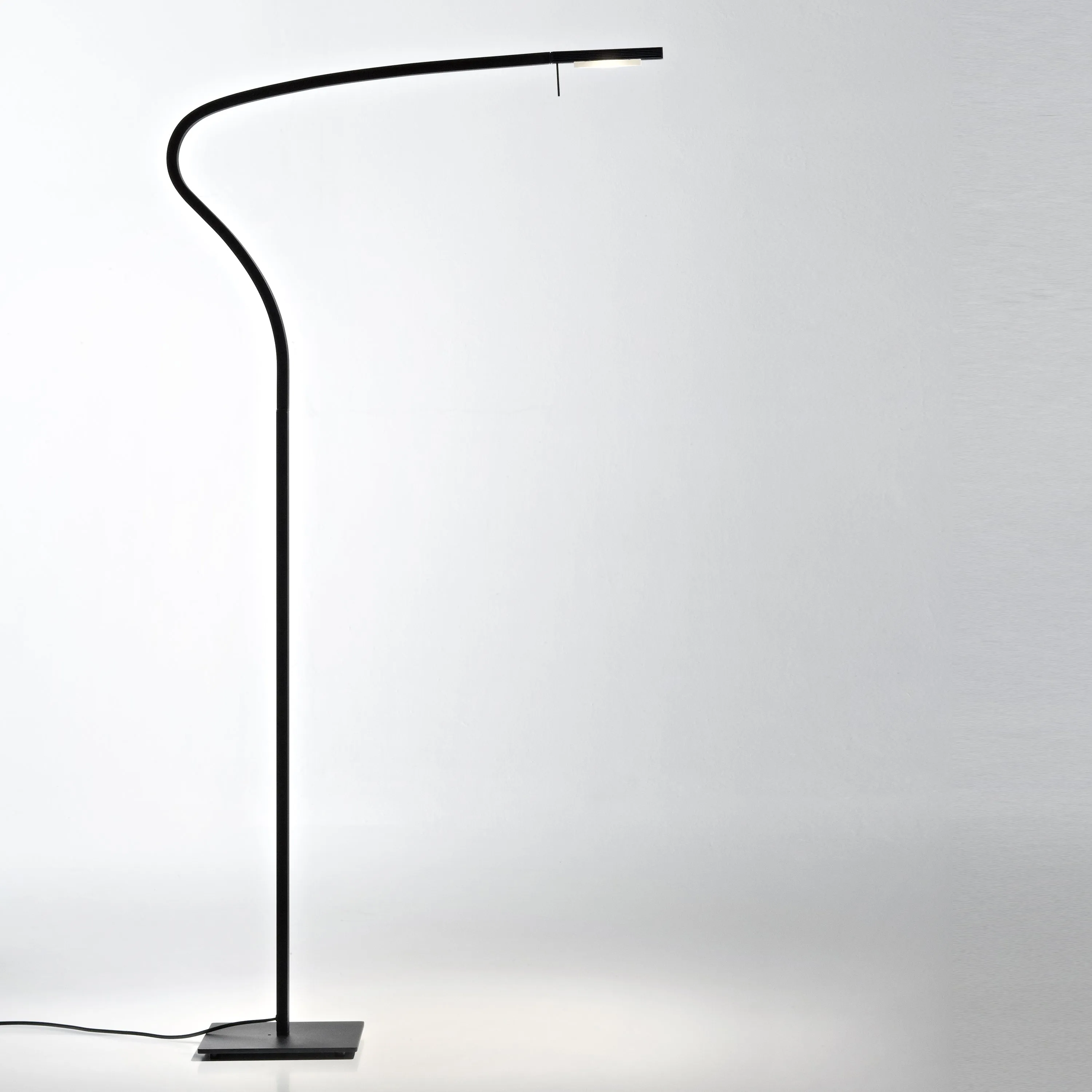 Paraph LED Floor Lamp