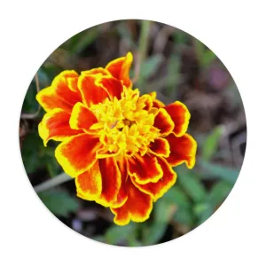 Red and Yellow Flower Mouse Pad